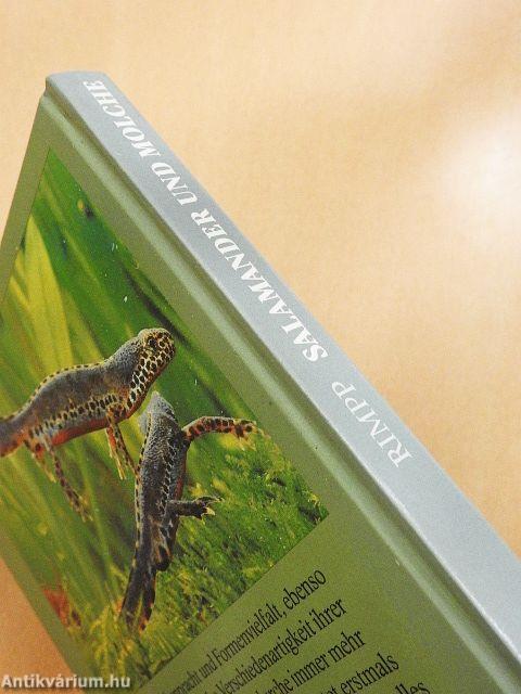 Salamander und Molche