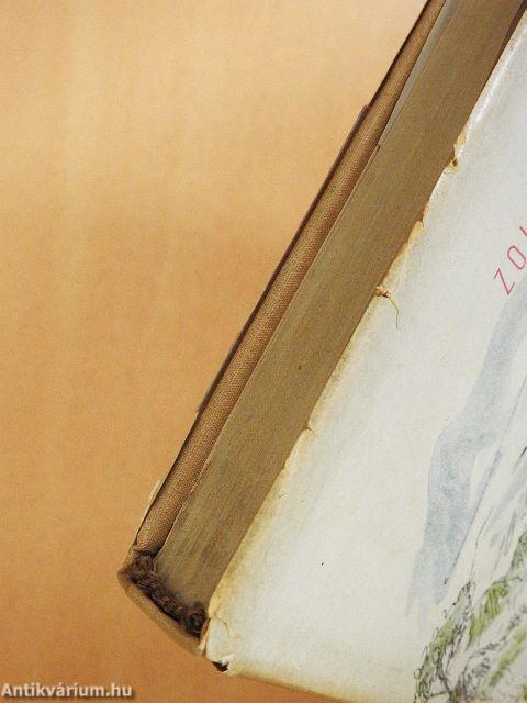 Das Buch vom Ungarwein