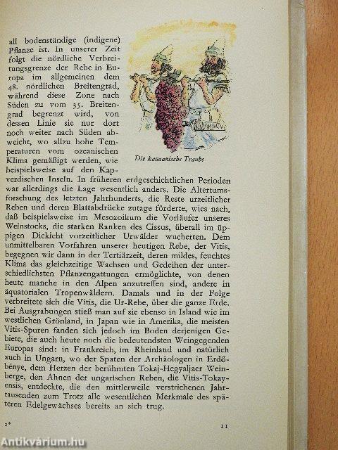 Das Buch vom Ungarwein