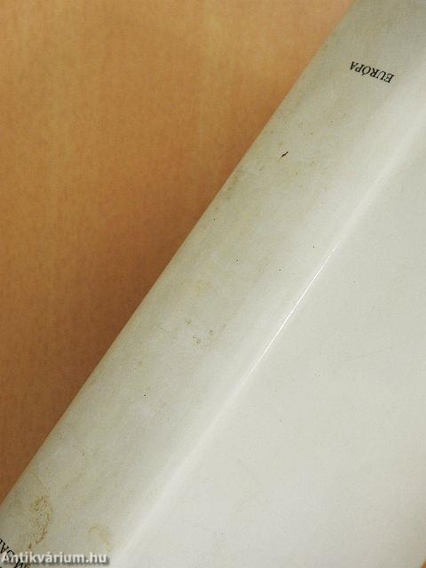 A diadalmas szerelem dala