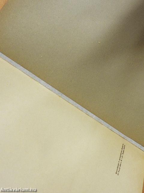 Válogatott tanulmányok I.