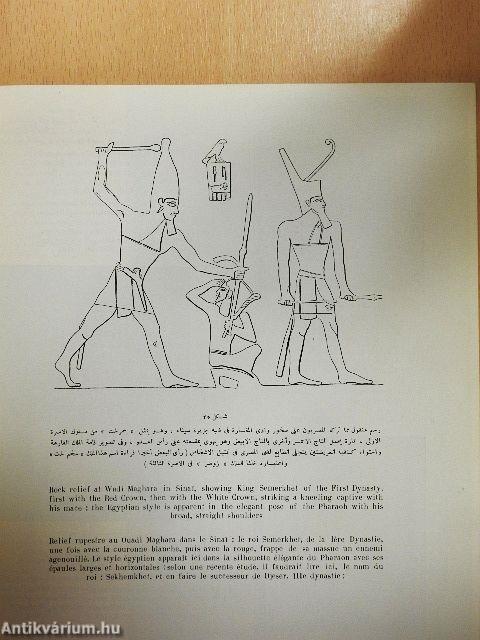 Centre de Documentation sur L'Ancienne Egypte