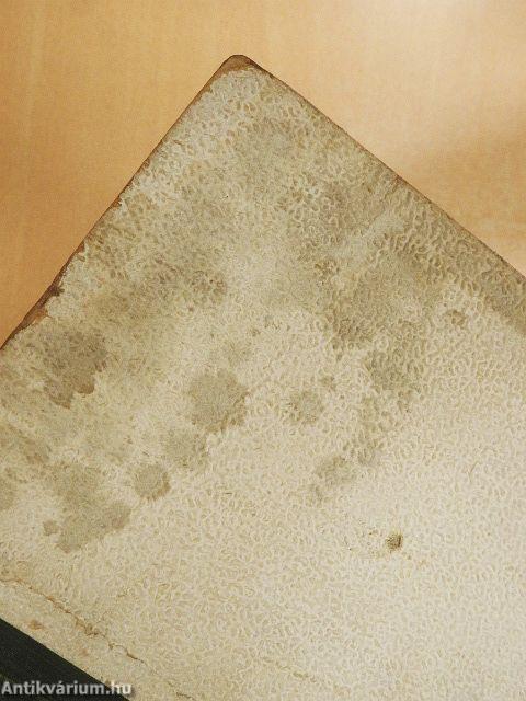 A Sátán és cimborái