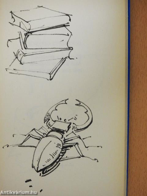 Hátsó gondolatok (dedikált példány)