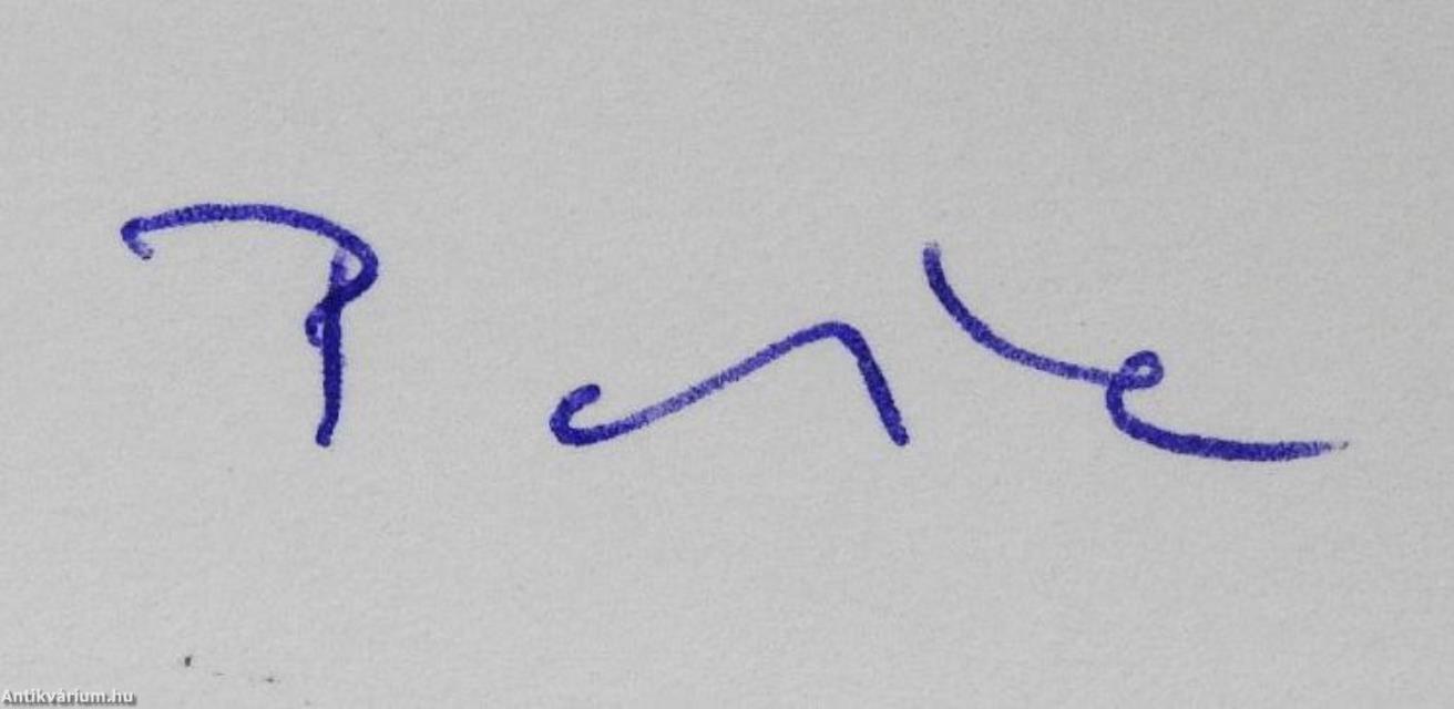 A nyomozó (dedikált példány)