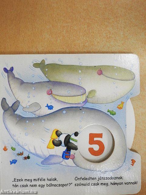 Keresd és forgasd! - Számok