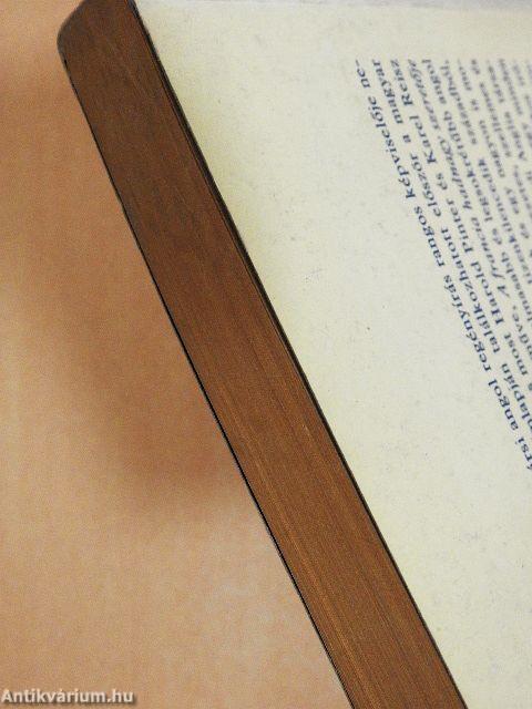 A francia hadnagy szeretője