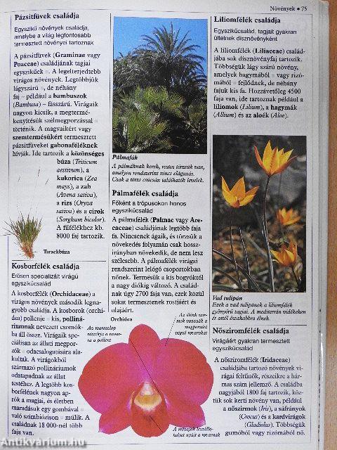 A természet kisenciklopédiája