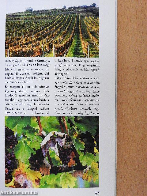 Meglelé borát - Tokaj borrégió