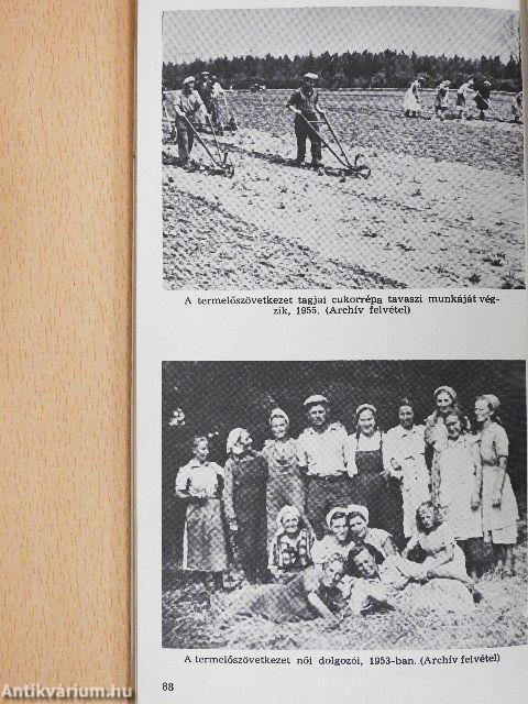 Egy emberöltő a közösben