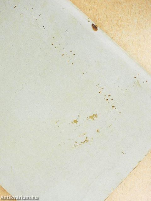 A pécsi M. Kir. Erzsébet Tudományegyetem Tanrendje az 1941/42. tanév első felére