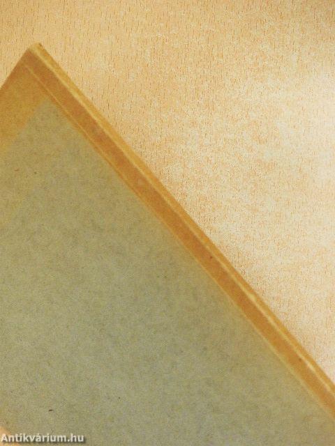 Emlékkönyv a Iuventus 25 éves jubileumára