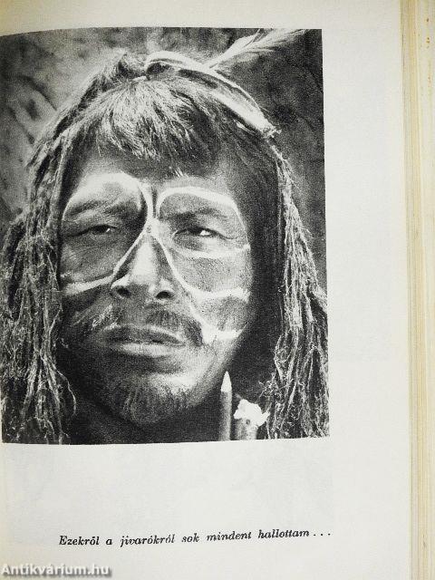 Az őrjöngő Ucayali