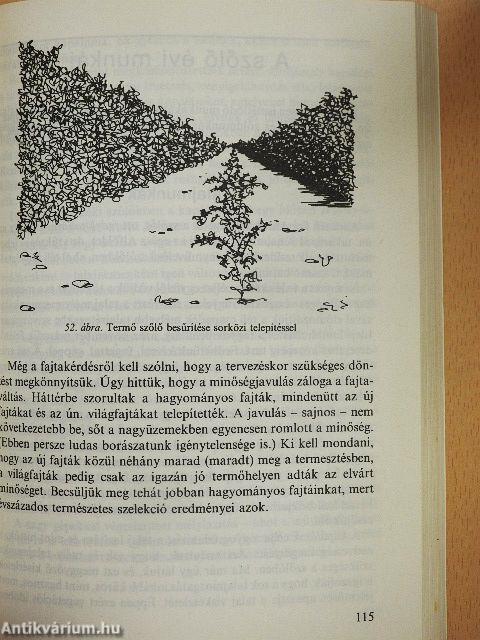 Szőlősgazdák könyve