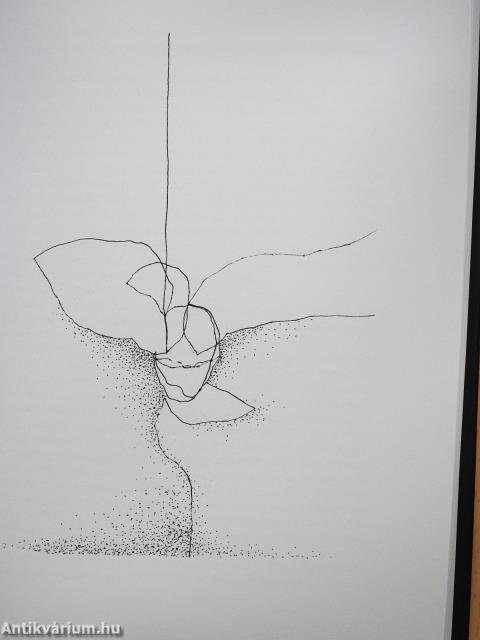 Az angyalszárny (dedikált példány)