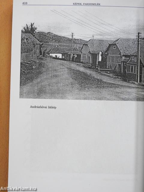 Gyulay Lajos Naplói I-II. (dedikált példány)