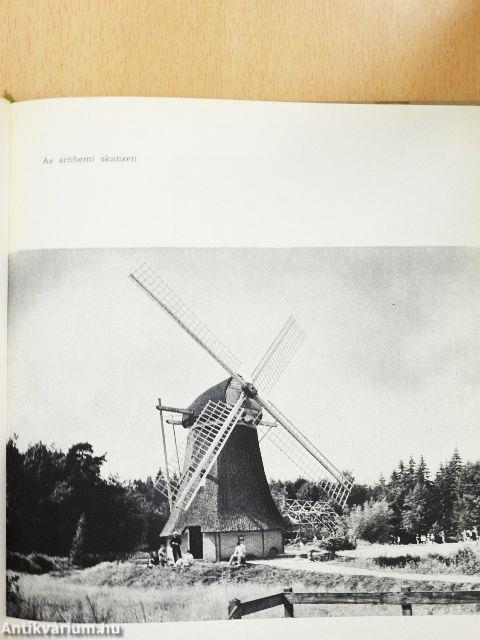 Pillantás Hollandiára