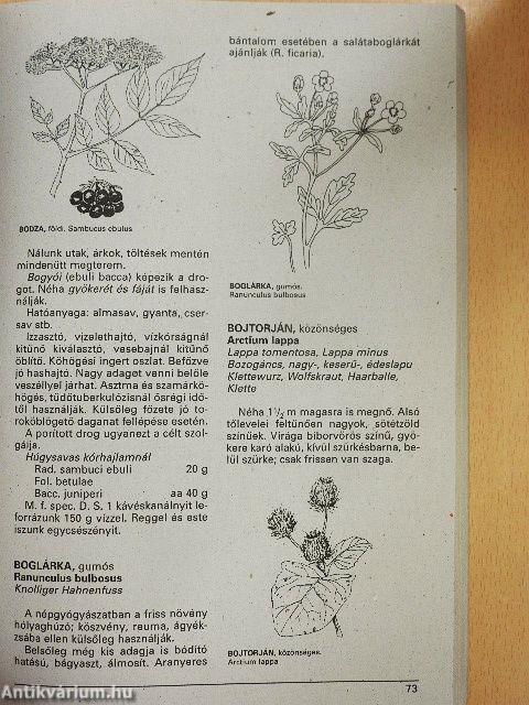 Gyógynövények gyógyhatásai