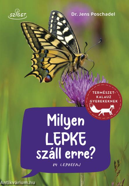 Milyen lepke repült erre?