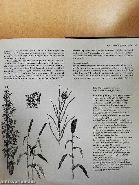 The Cambridge Encyclopedia of Archaeology