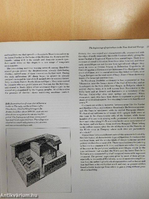 The Cambridge Encyclopedia of Archaeology