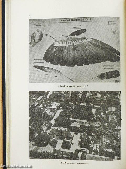 Pedagógiai lexikon I-IV. 