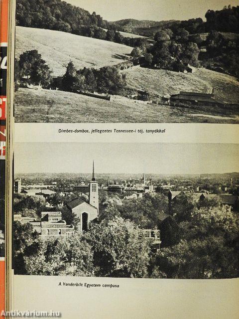 Levelek Tennessee-ből