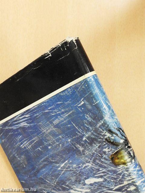 Rénszarvasok nyomában