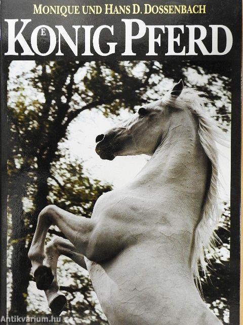 König Pferd