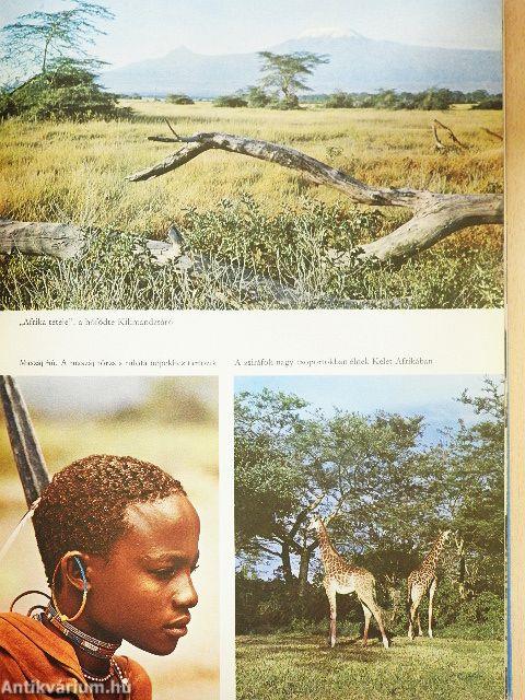 Afrika