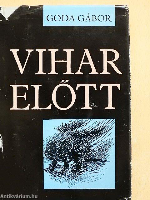 Vihar előtt