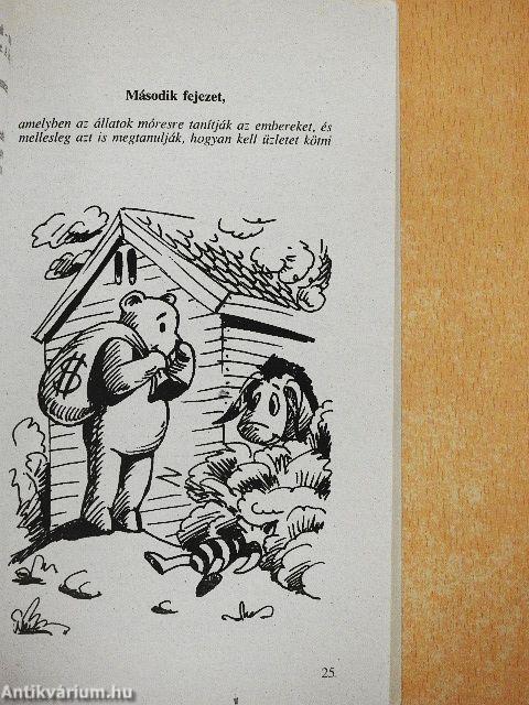 Micimackó léghajón