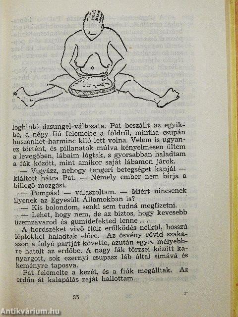 Nyolc év Kongó törpéi között