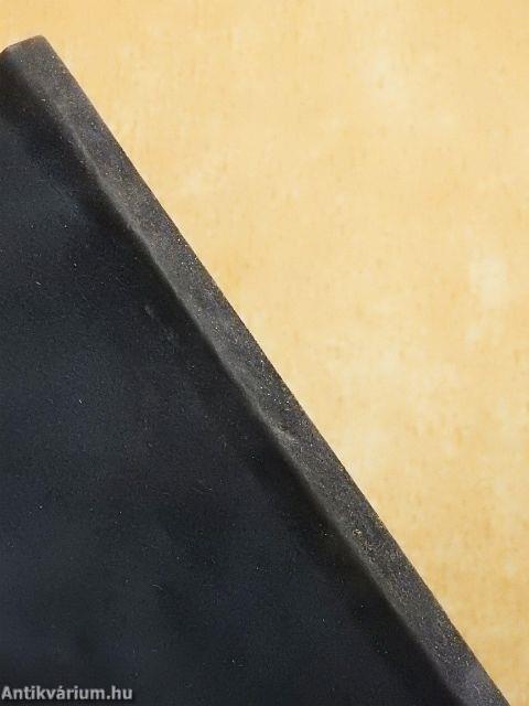 Százkilencvennégy bekezdés az emberről