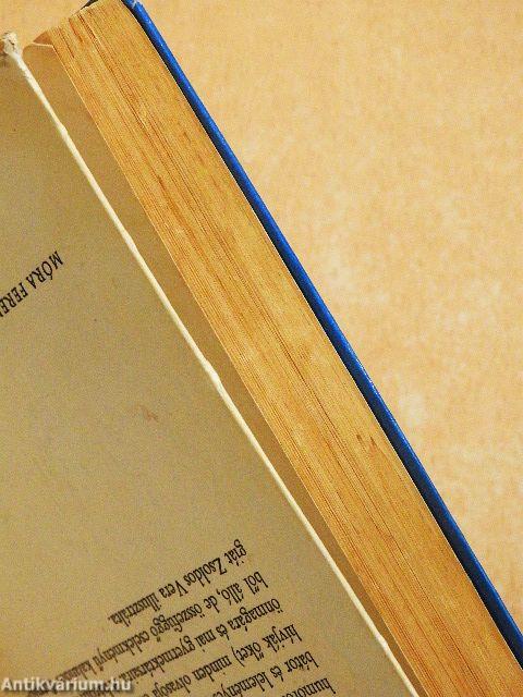 Hajszesz és bolondgomba