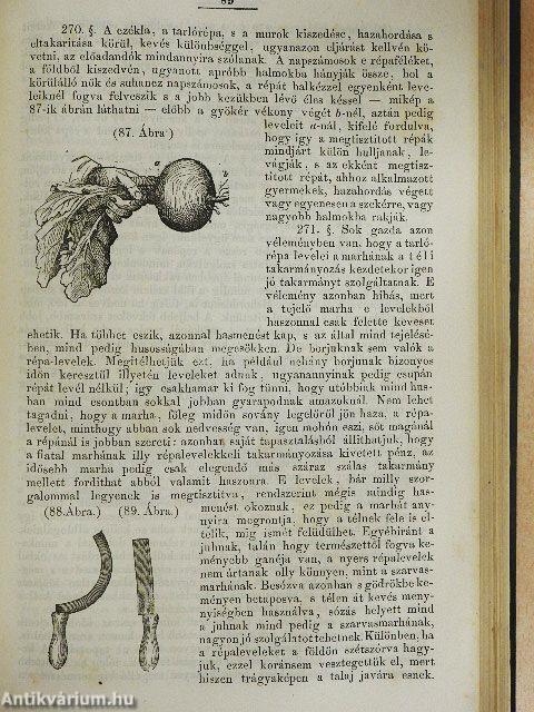 Mezei gazdaság könyve II.