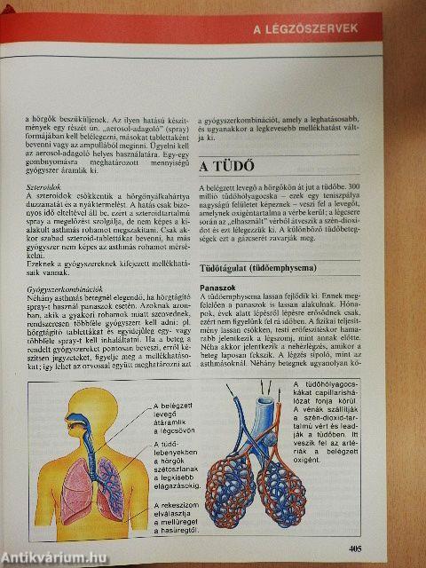 Nagy egészségkönyv