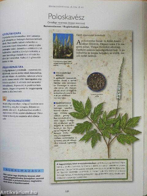 A természet füvészkertje