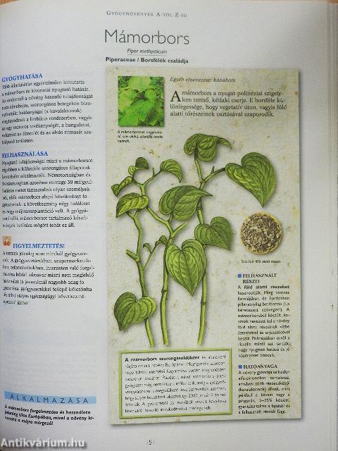 A természet füvészkertje