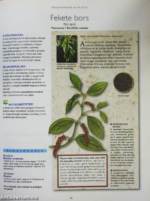 A természet füvészkertje