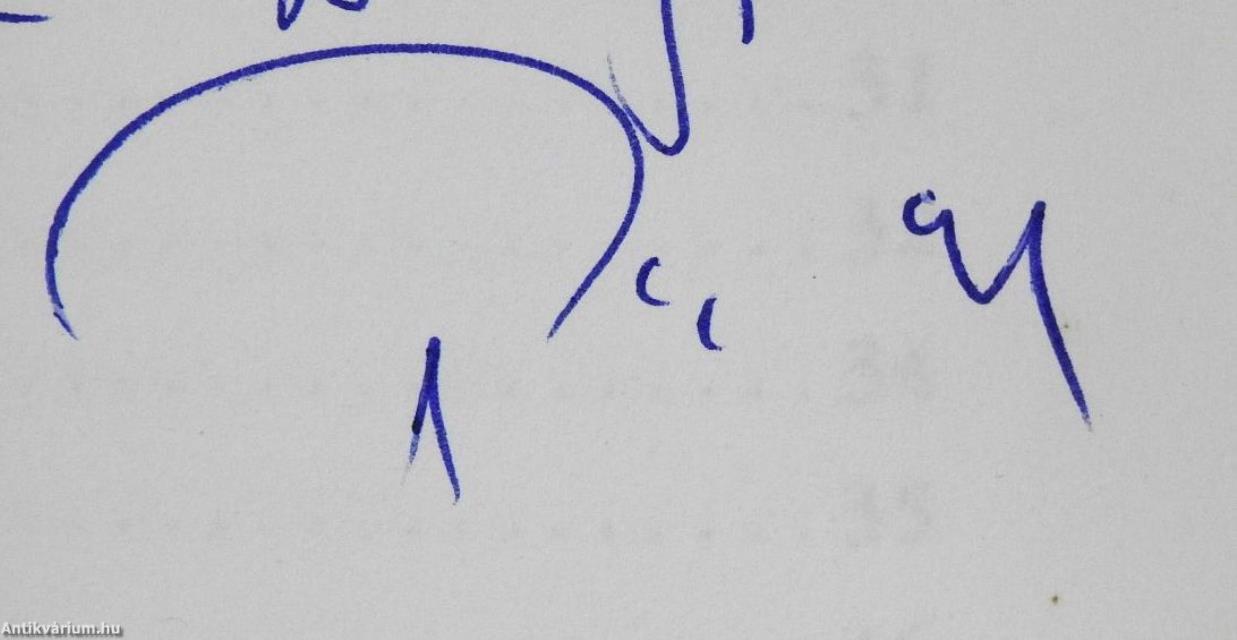 Egyetemi kultúra, tömegkultúra (dedikált példány)