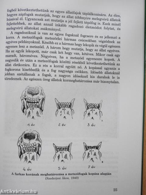 Farkasaink (dedikált példány)