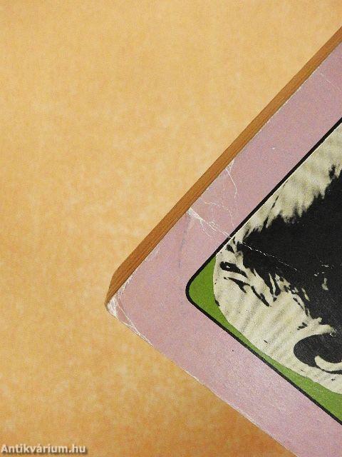 A szűz és a cigány