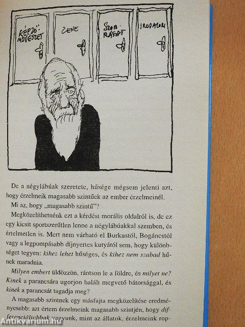 Találkozás önmagunkkal