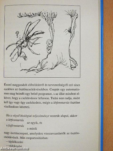 Mit tudsz önmagadról?