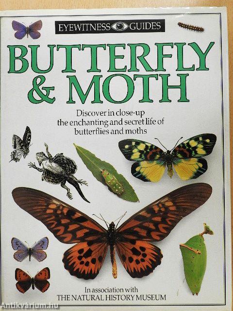 Butterfly & Moth