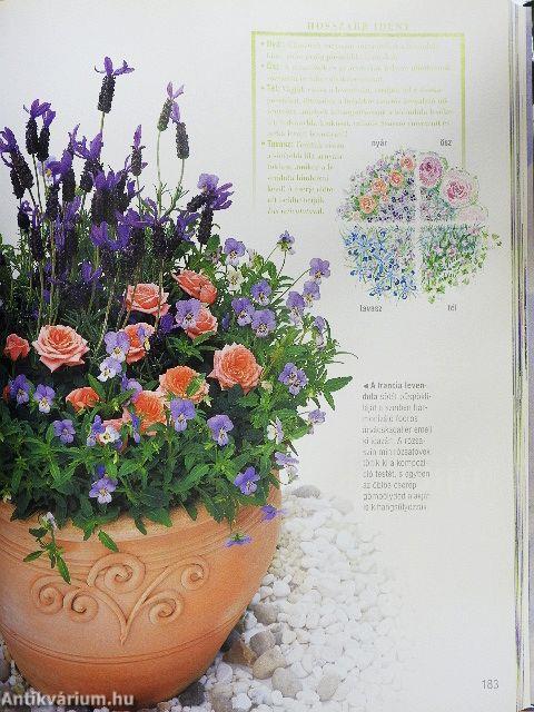 Kertészkedjünk balkonon, teraszon!