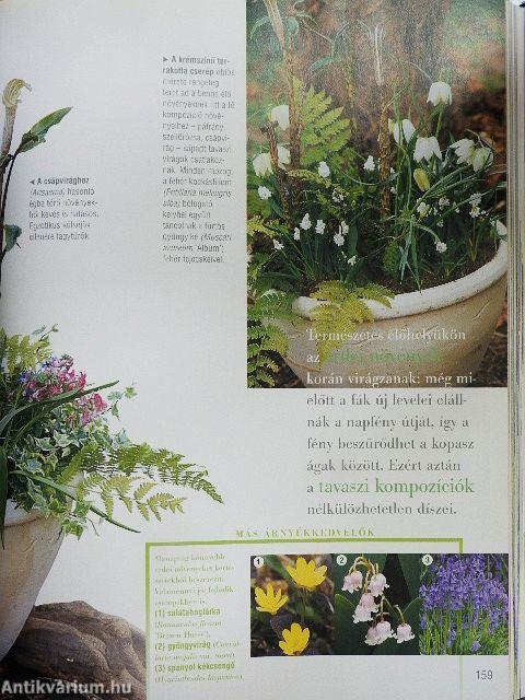 Kertészkedjünk balkonon, teraszon!