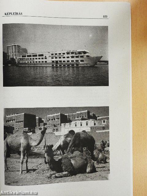 Szövegértés, fordítás, tömörítés és képleírás a közép- és felsőfokú német nyelvvizsgákra