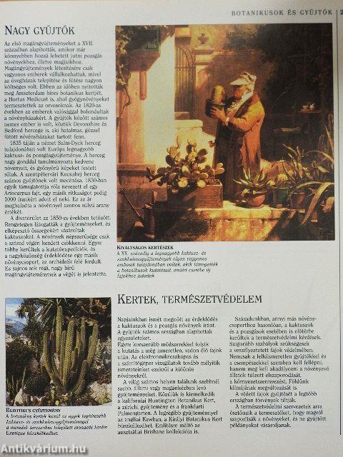 Kaktuszok és pozsgások